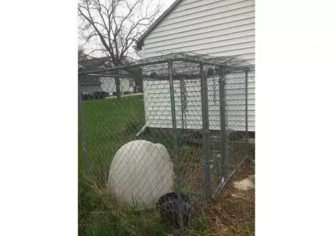 Large outside dog cage