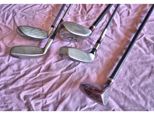 Used Golf Clubs in Beaver Dam, Dodge County, Wisconsin - Dodge County